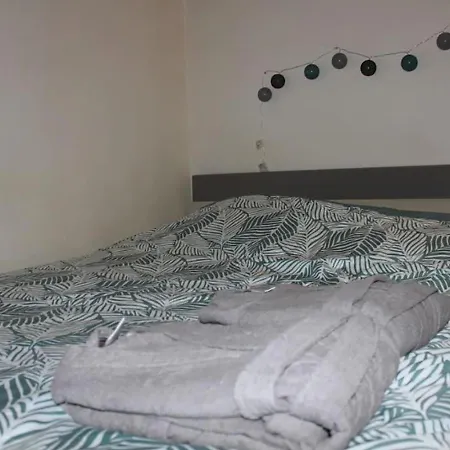 Petit Cocon Dans Le Centre De Appartement Clermont-Ferrand